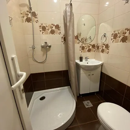 Casa Faget Cluj-Napoca