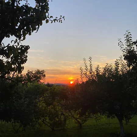 Casa Faget 3* Kluż-Napoka