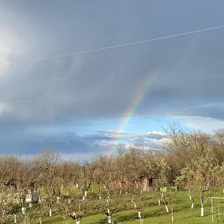 Casa Faget 3* クルージュ＝ナポカ