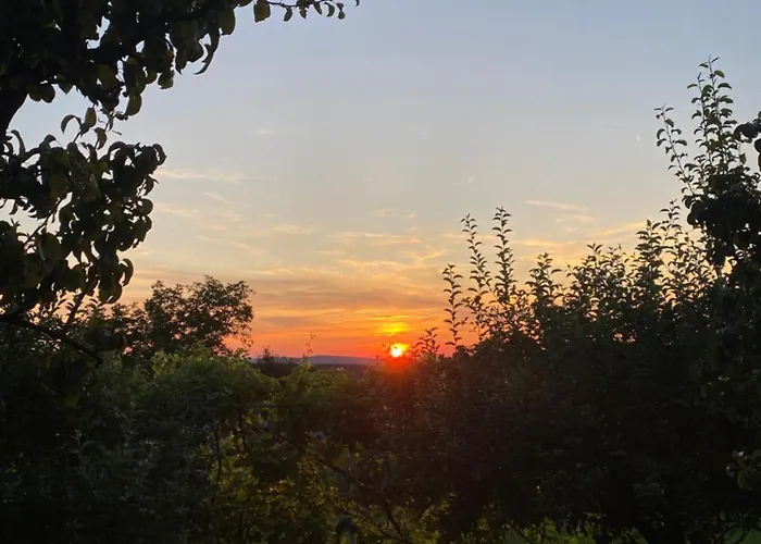 Casa Faget 3* クルージュ＝ナポカ